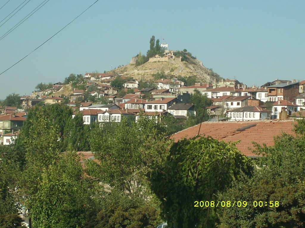 [SL271355.JPG]
