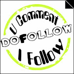 Do Follow Blog