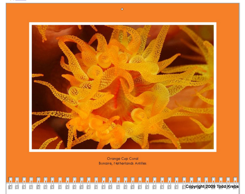 [Shutterfly++Calendars+12102009+13632+PM.jpg]