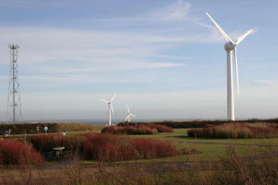 wind turbine