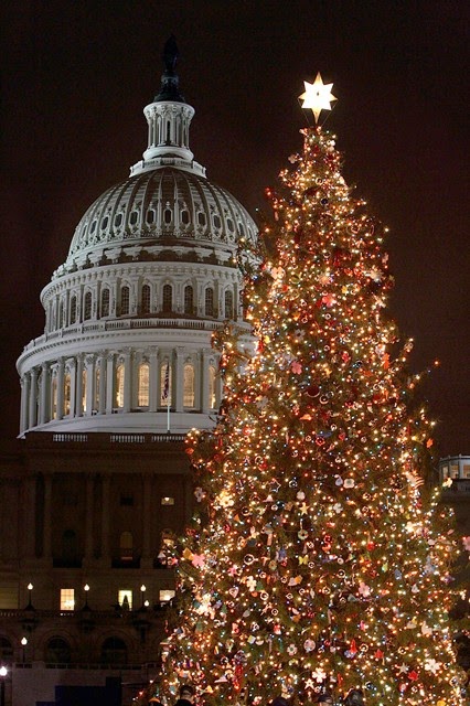 Christmas Trees Decorated Christmas Trees Decorated