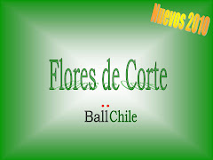Catálogo Flores de Corte Ball Chile