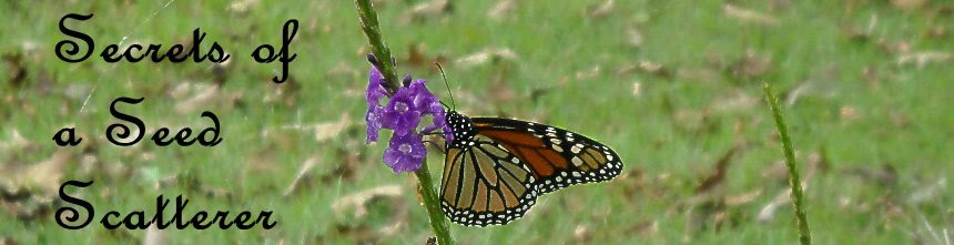 Secrets of a Seed Scatterer