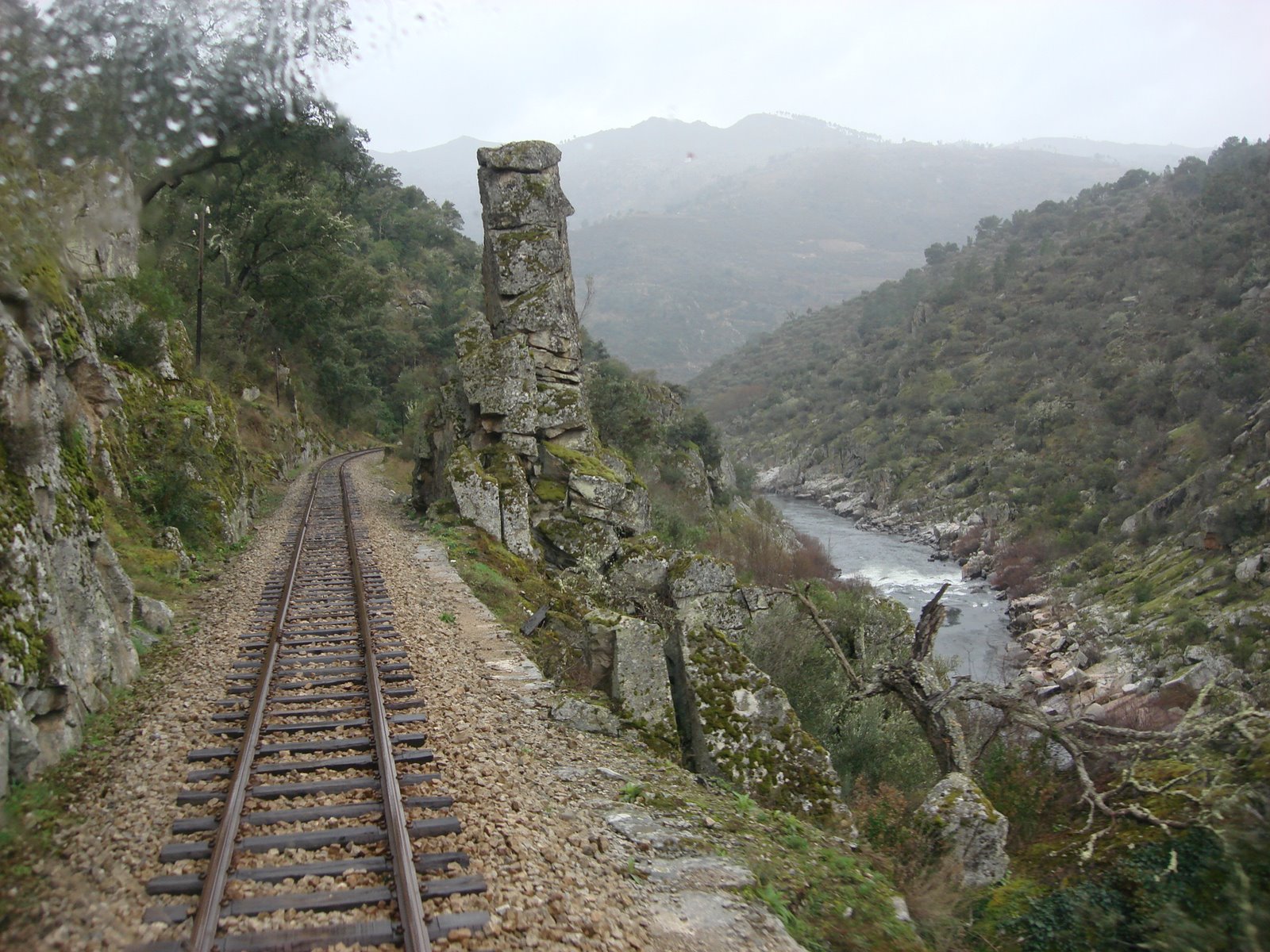 [DSC05425.JPG]