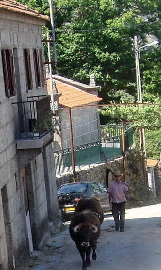 [DSC01531a.jpg]