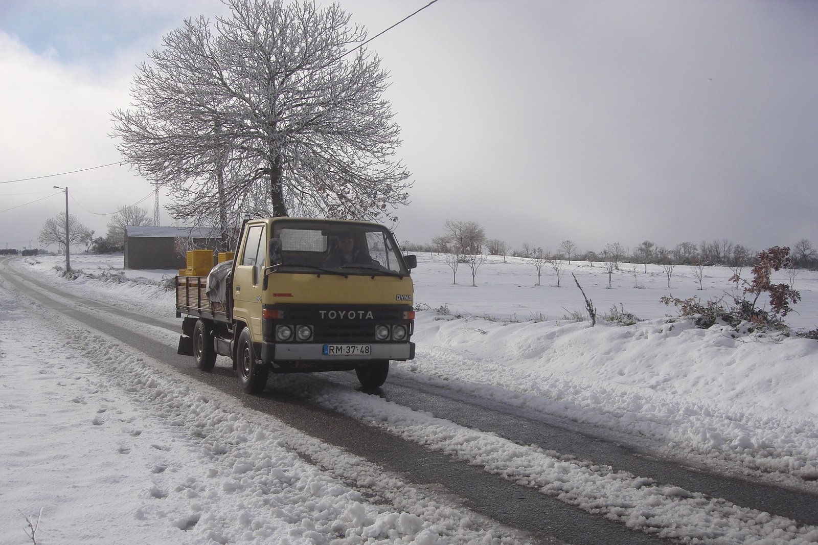 [DSC07555a.jpg]