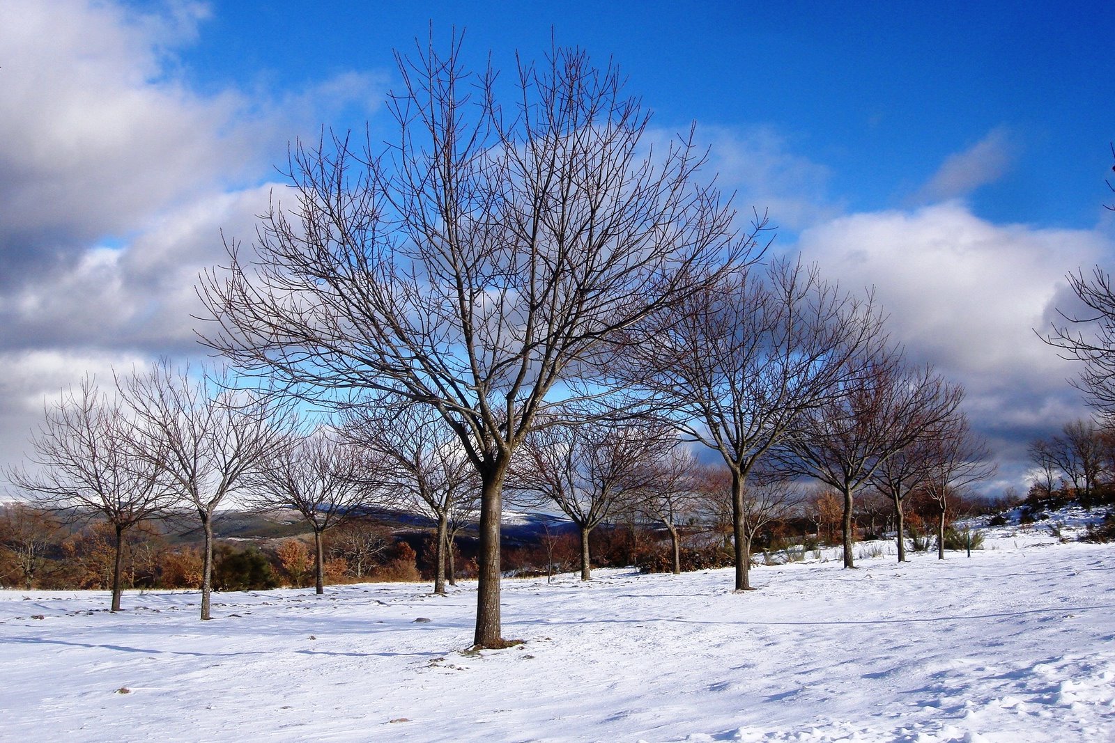 [DSC04863a.jpg]