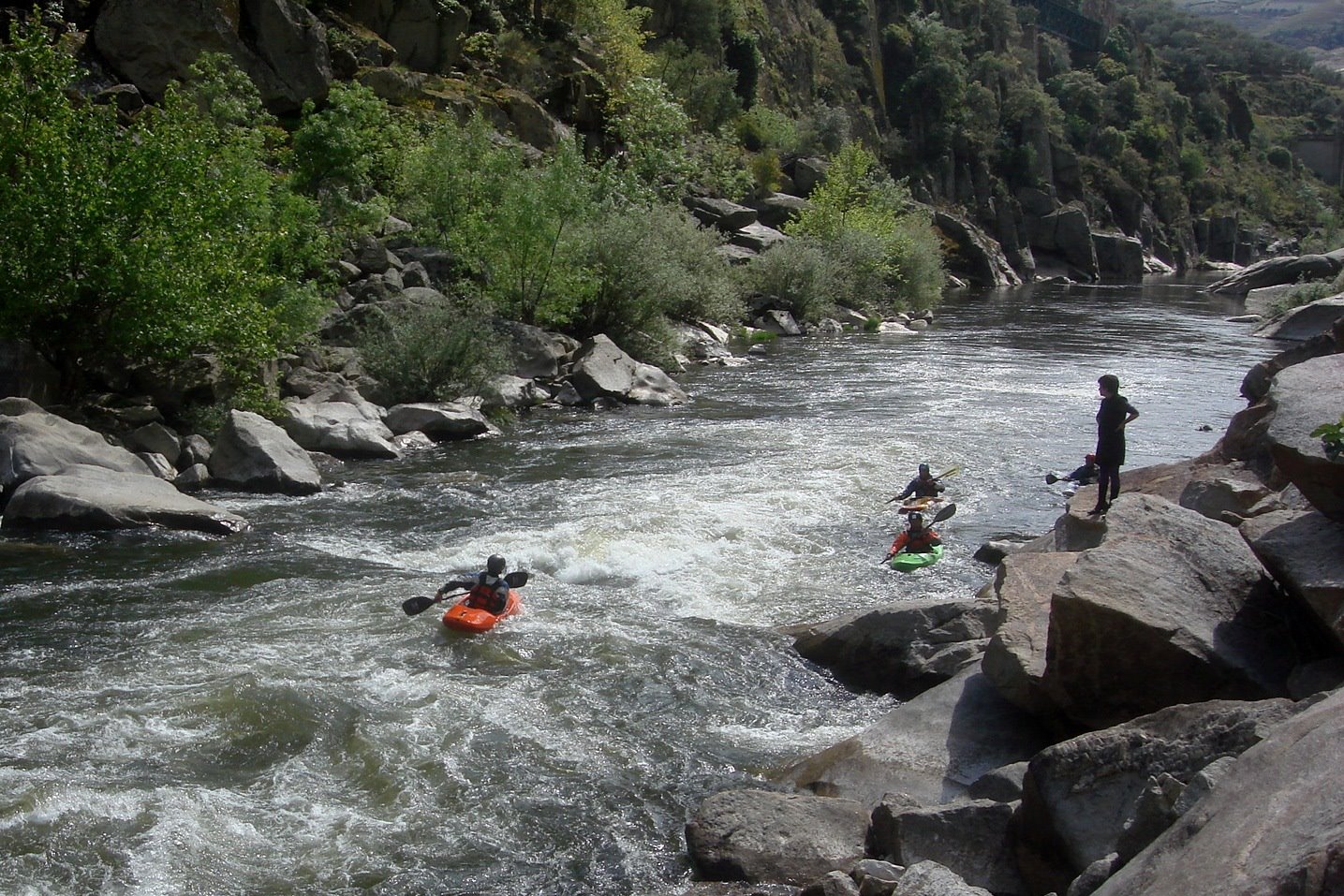 [DSC07704a.jpg]