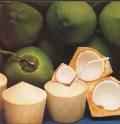 [coconuts.jpeg]