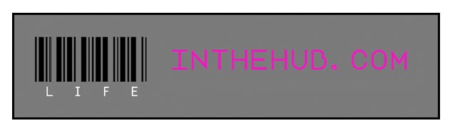 life_inthehub.com