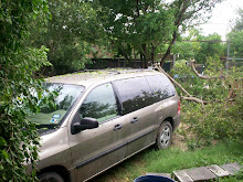 The tree is off the van!