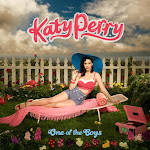 Katy Perry One Of The Boys Album