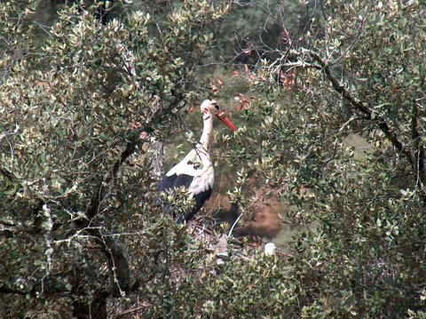 [Fronteira+-+14.jpg]