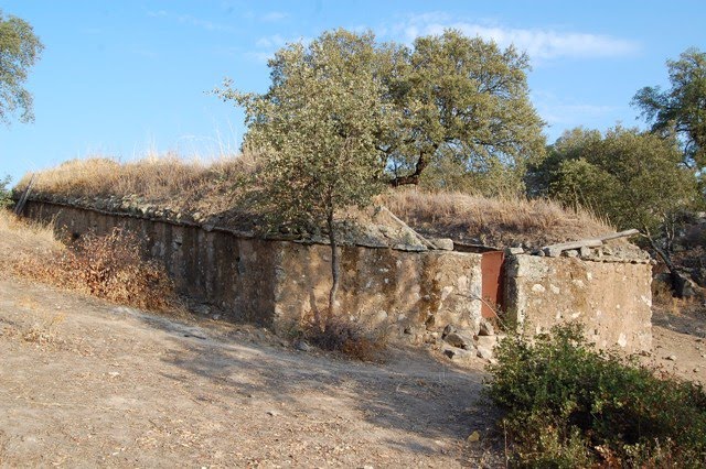 [Contrabando+-+13Set+(466)13268.JPG]