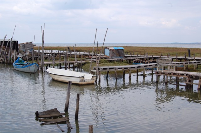[DSC_00362215.JPG]