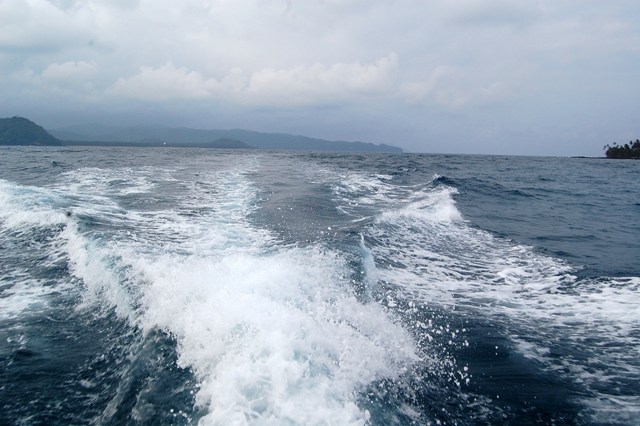 [DSC_042935184518.JPG]