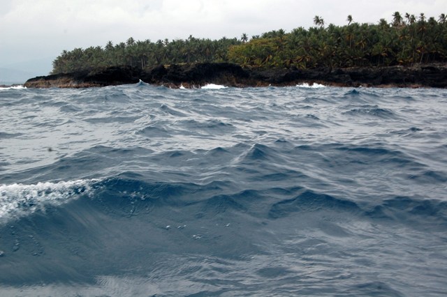 [DSC_044935384538.JPG]