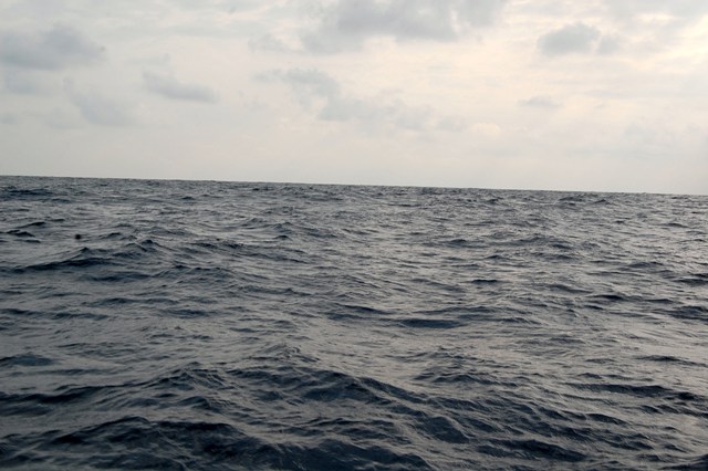 [DSC_043335224522.JPG]