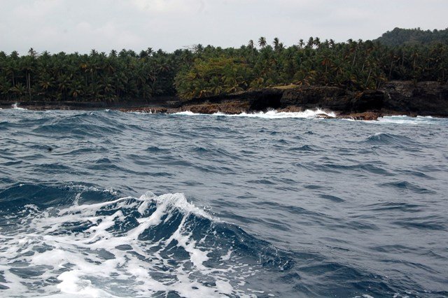 [DSC_044335324532.JPG]