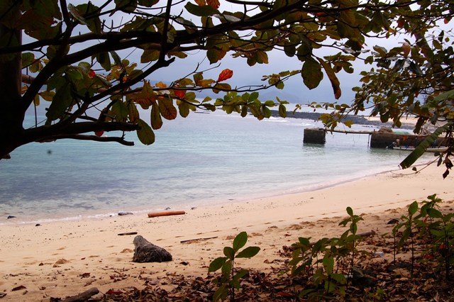 [DSC_017732674267.JPG]