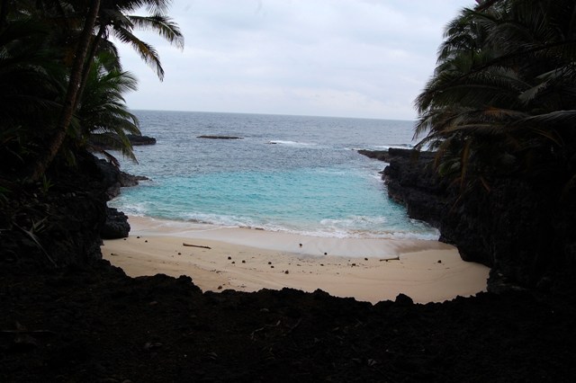 [DSC_022233124312.JPG]