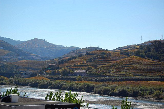 [DSC_00157154.JPG]