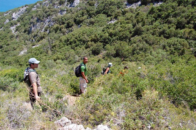 [arrabida+22011301.jpg]