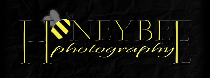Honeybee Photography