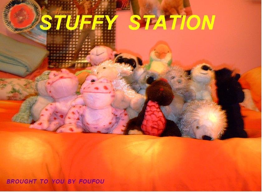 STUFFY STATION