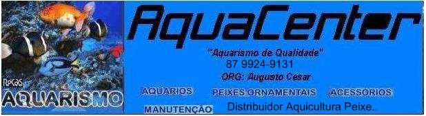 Aqua Aquarismo   }}<(((( º>