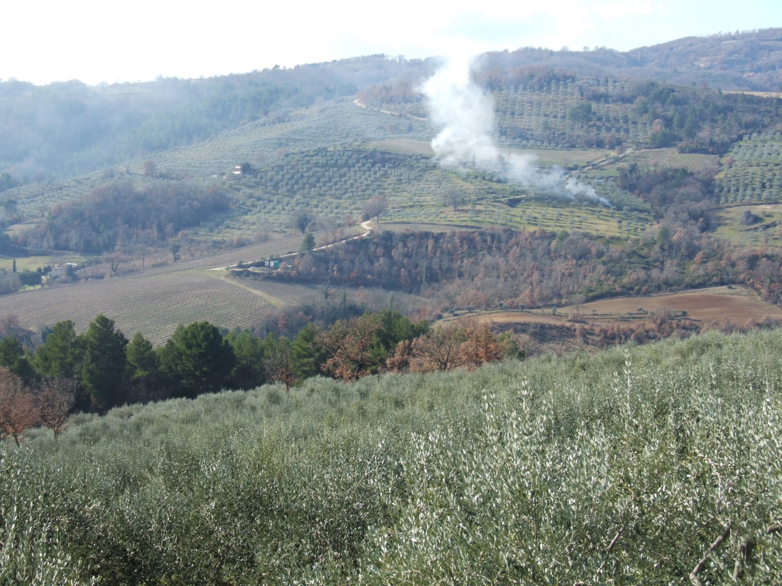 [DSCF0020.JPG]