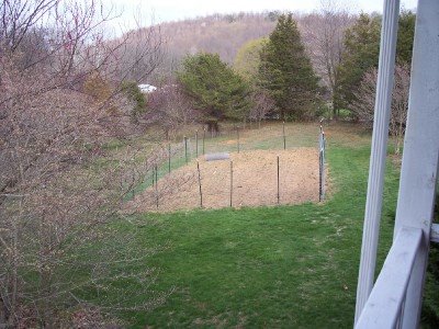 [gardenplotwithfence.jpg]