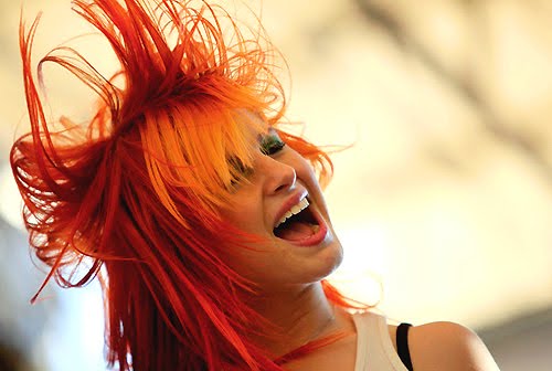 hayley williams twitter picture leaked. hayley williams twitter