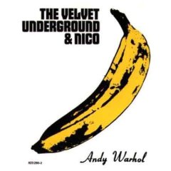 The velvet underground