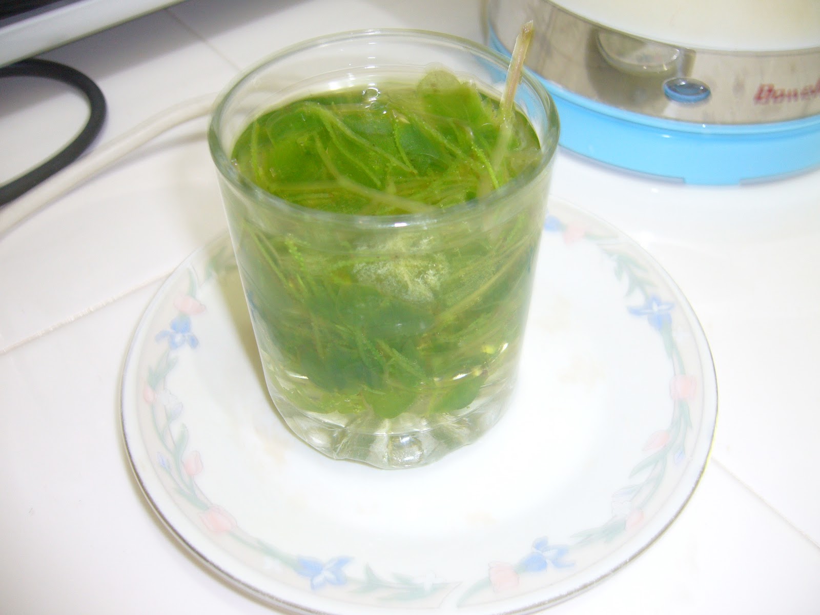 Granny'sBackyard: Olasimang Bato