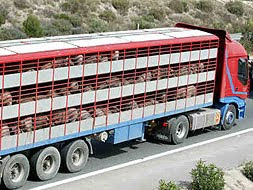 Transporte de animales para consumo humano.