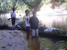 HUTAN TEPIAN SUNGAI MOHUN