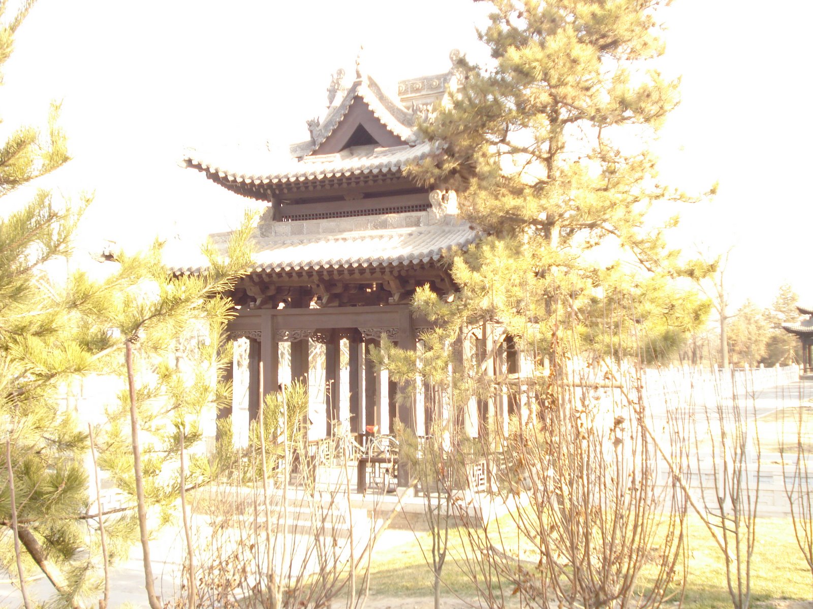 [DSC06276.JPG]