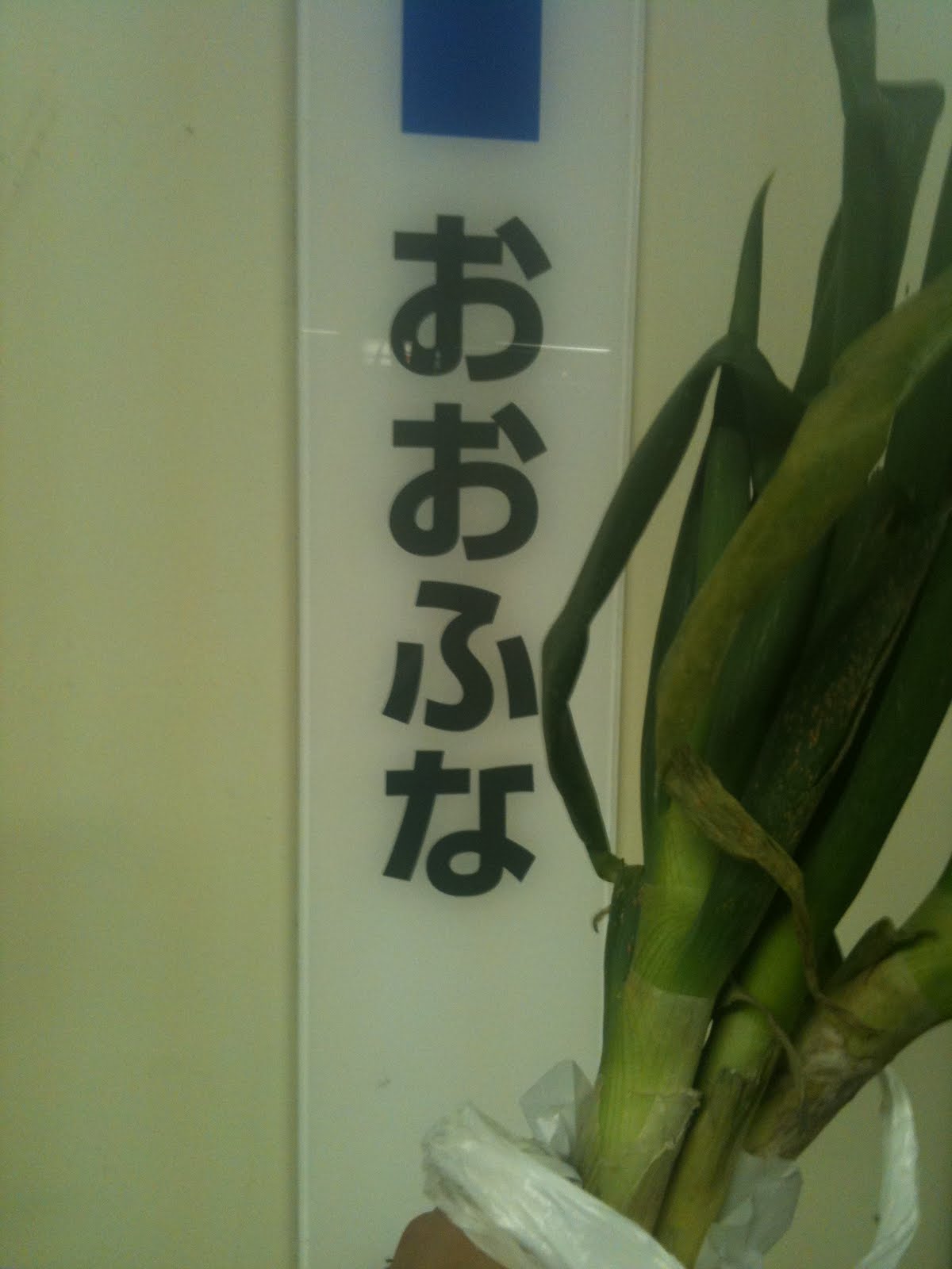 [プライベート+053.JPG]