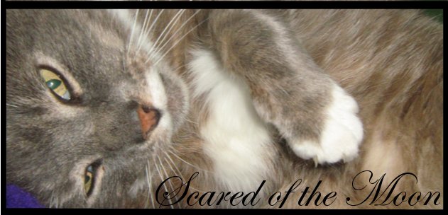 Scared of the Moon