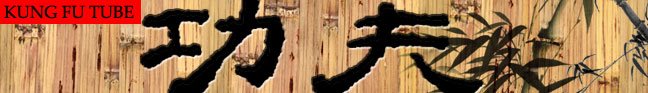 Kung Fu Video