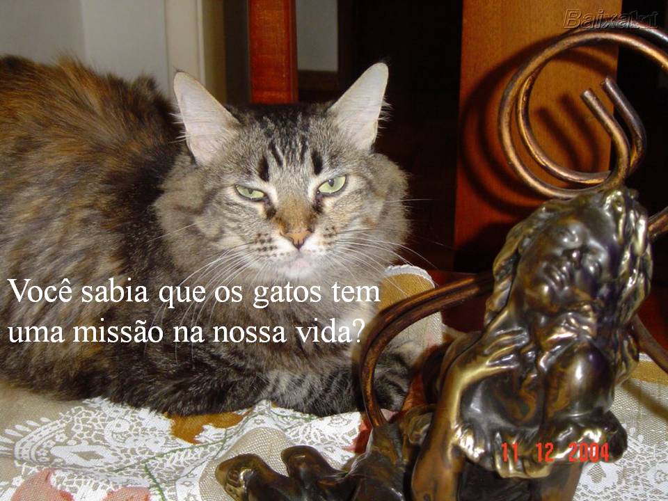 [Slide3.JPG]