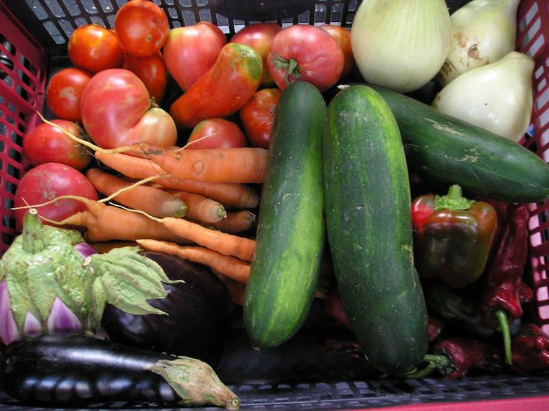 Caja de verduras y hortalizas de cultivo ecológico del 10 de agosto 2010