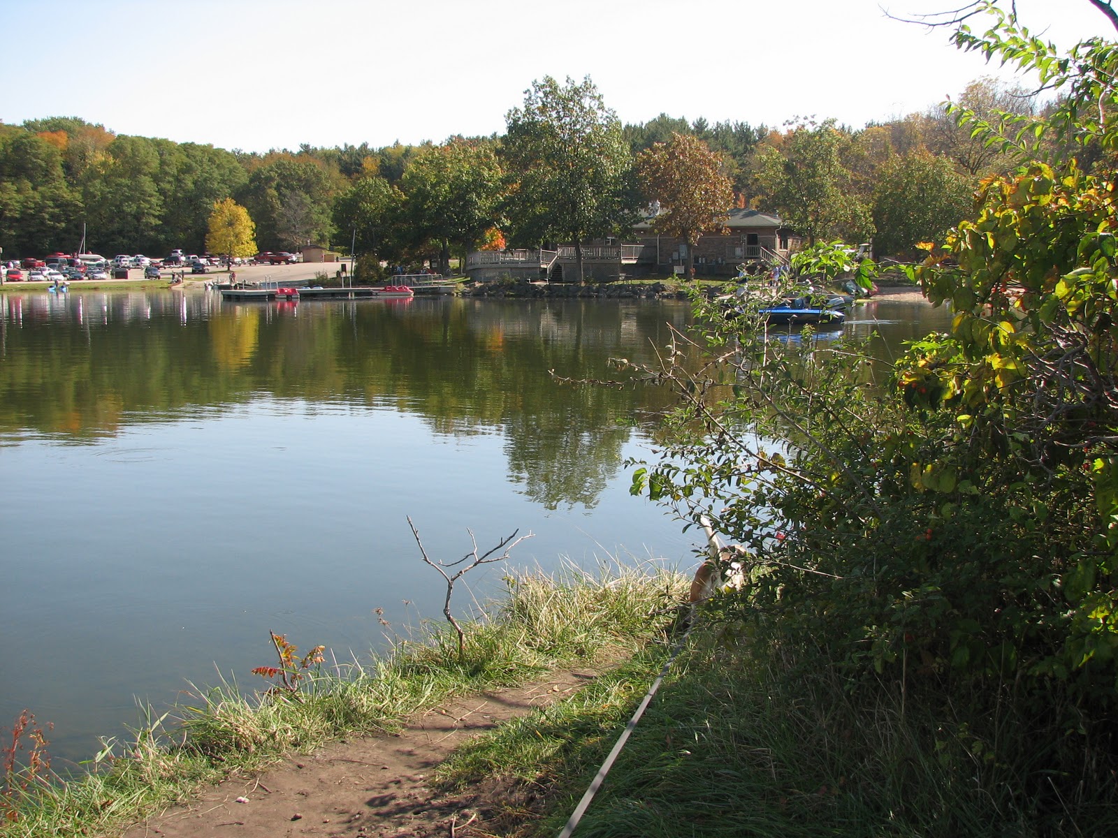 Musings from Illinois Rock Cut State Park 10910