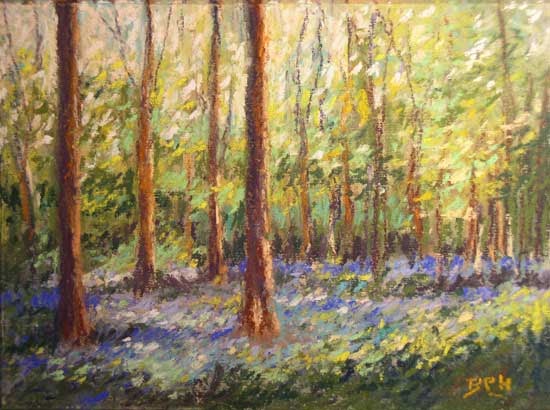 my french easel bluebell wood pastel