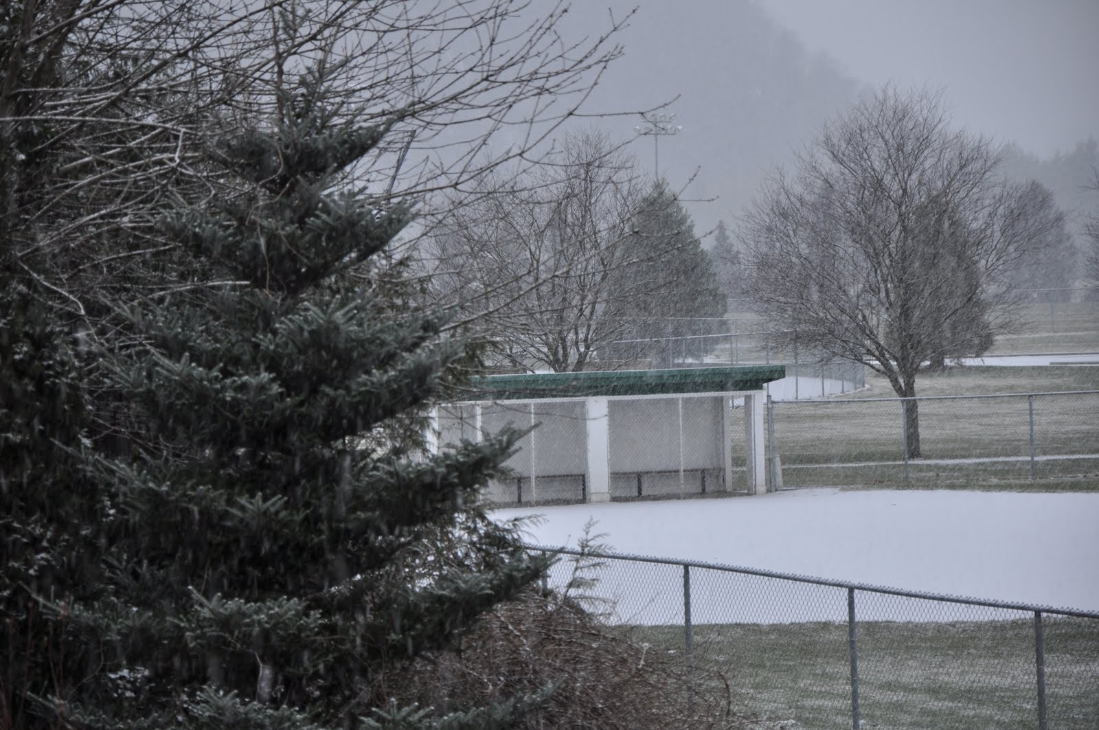 [DSC_0124.JPG]