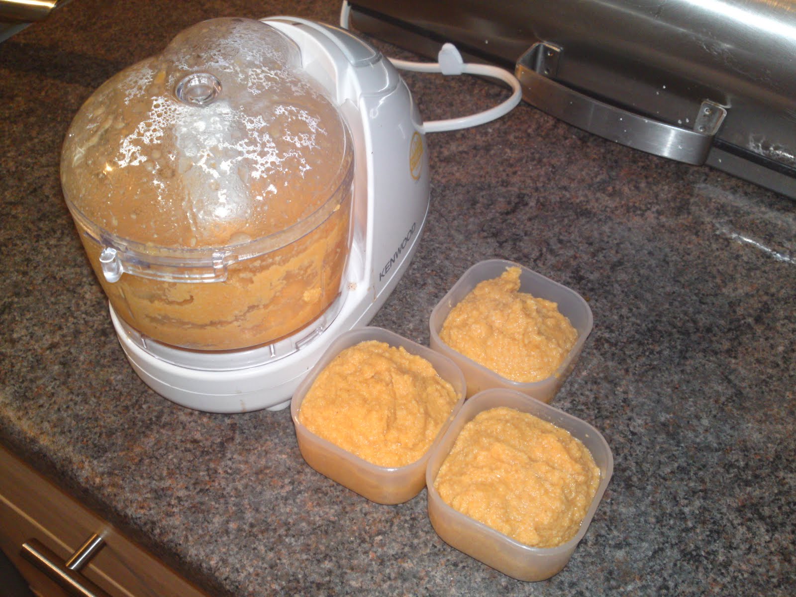 Changes... with my Gastric Sleeve: Experimenting with pureed food...