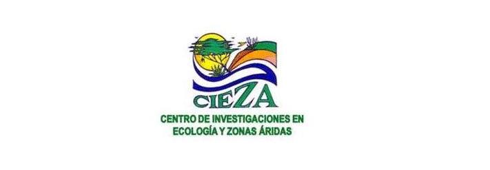 CIEZA UNEFM