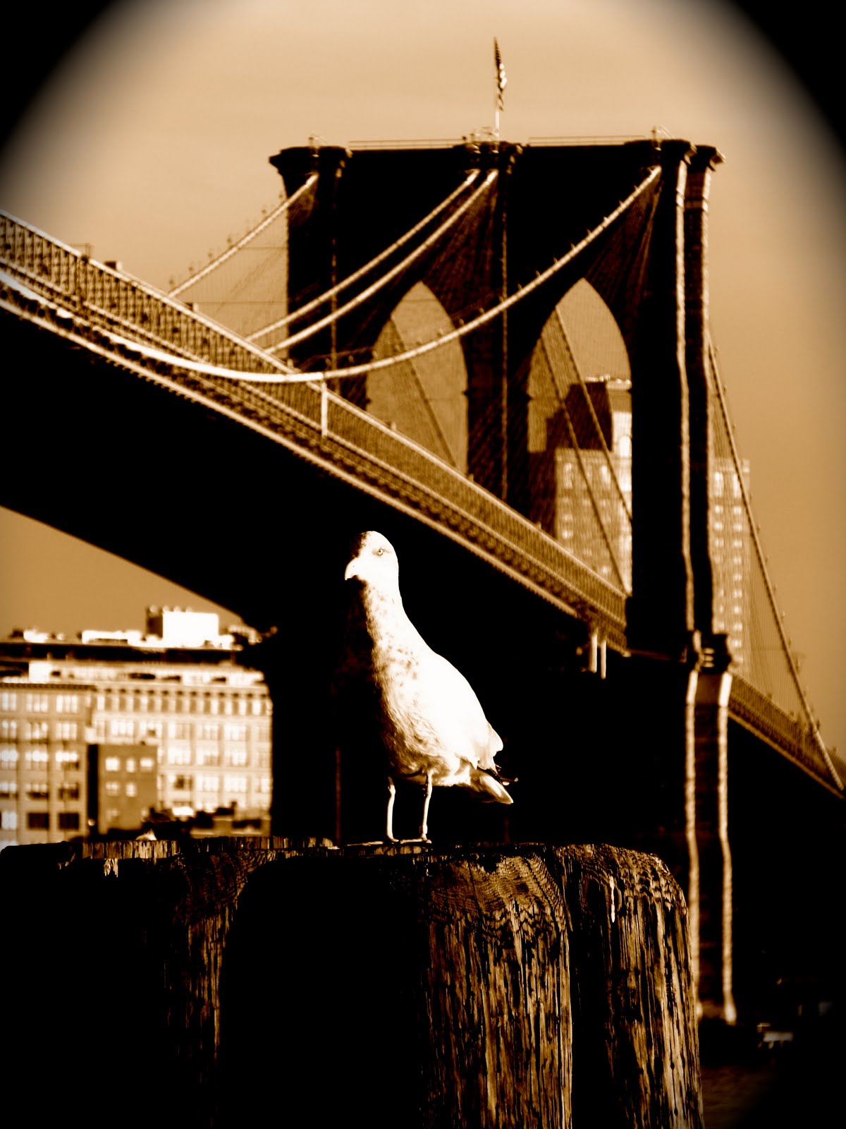 DANNY RAMIREZ GHETTO PHOTO where brooklyn