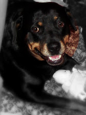 Sweet Baby Sasha